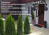 hotel_img